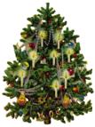 smalltree.jpeg